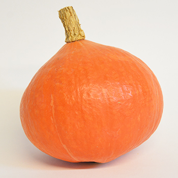 BIO HOKKAIDO KÜRBIS (473) 10 KG KISTE   (DE-ÖKO-039) Bio Hokkaido Kürbis 10 kg Kiste