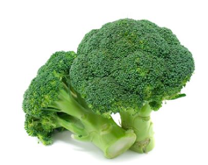 BIO BROCCOLI (473) 6 KG KISTE   (DE-ÖKO-039) Bio Broccoli 6 kg