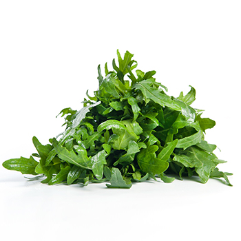 BIO RUCOLA (473) 1KG KISTE  (DE-ÖKO-039) Bio Rucola