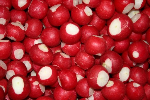 BIO RADIESCHEN GANZ GEPUTZT (27) 1KG (DE-ÖKO-006) Bio Radieschen ganz geputzt 1kg (DE-ÖKO-006)
