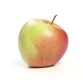 BIO APFEL JONAGOLD (473) 12 KG KISTE   (DE-ÖKO-039) Bio Apfel Jonagold 12 kg Kiste