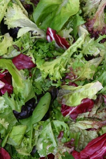 BLATTSALAT MIX MESCLIN (72) 1KG In Streifen 25% Lollo Bionda, je 20% Lollo Rosso & Frisee, 15% Radicchio, + je 10% Rucola & Baby Spinat Blattsalat Mix Mesclin 1kg