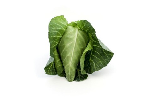 Bio Spitzkohl 10kg