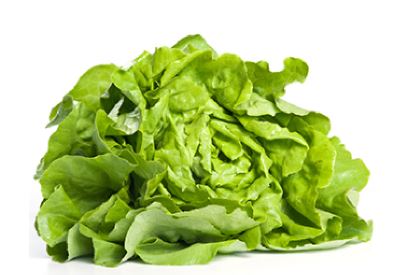 BIO KOPFSALAT KISTE / KG (DE-ÖKO-006) Bio Kopfsalat Kiste/kg