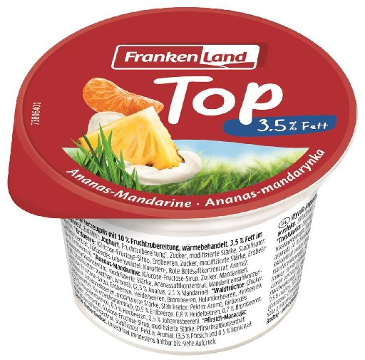 Frankenland H-Top Fruchtjoghurt 3,5% Sortiert 20x100g