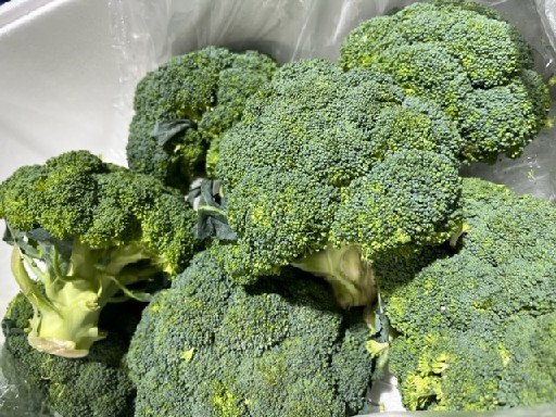 BROCCOLI 10x500G  BROCCOLI 500G BEUTEL