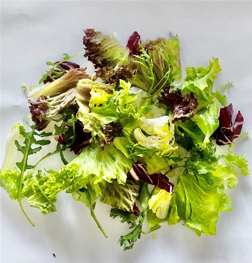 BLATTSALATMISCHUNG MURGA (111) 500G 25% Lollo Rosso, je 20% Endivien, Frisee + Radicchio, 10% Lollo Bionda + 5% Rucola Blattsalatmischung Murga 500g