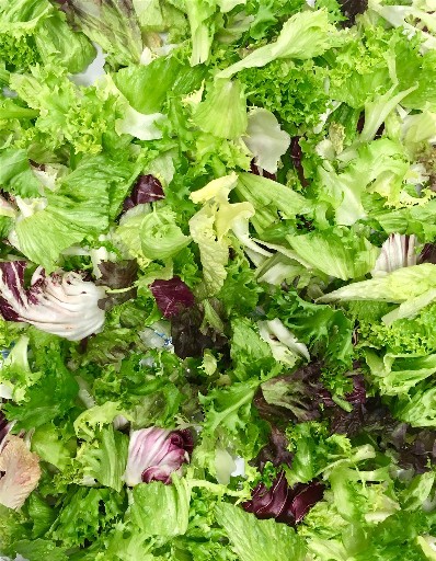 Blattsalatmix Saya 1kg