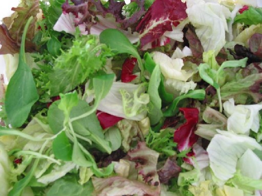 BLATTSALAT FLAMENCO (72) 1KG In Streifen 55% Eisberg, 20% Frisee, 10% Radicchio, je 5% Eichblatt rot & Lollo Rosso, + 5% Feldsalat 30-35mm Blattsalat Flamenco 1kg