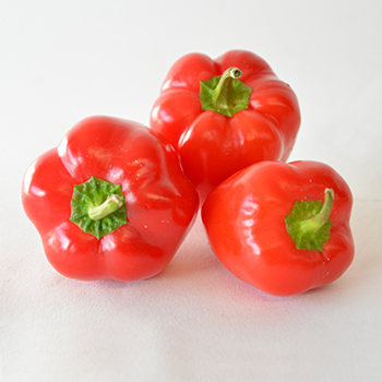 MINI PAPRIKA ROT KILO Mini Paprika Rot