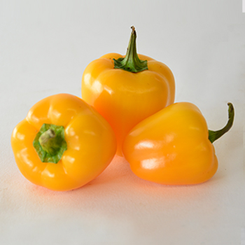 MINI PAPRIKA GELB KILO Mini Paprika Gelb