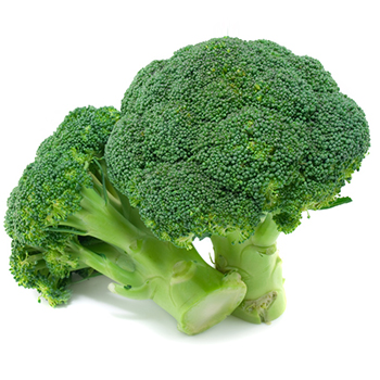 BROCCOLI Broccoli
