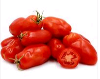 SAN MARZANO TOMATEN KG "URIBURI" San Marzano Tomaten Sorte "URIBURI"