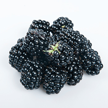 BROMBEEREN 125G SCHALE Brombeeren 125g Schale