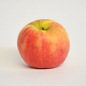 APFEL PINK LADY GELEGT Apfel Pink Lady kg