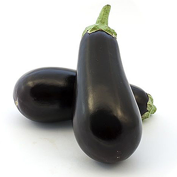 AUBERGINEN Auberginen