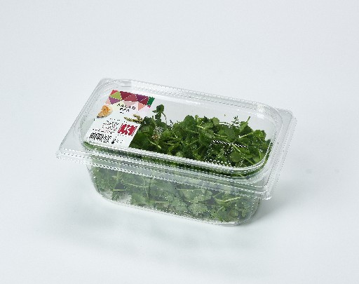 KOPPERT SALAD PEA 100G SCHALE Koppert Salad Pea 100g