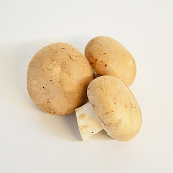 BRAUNE CHAMPIGNON Champignons braun kg