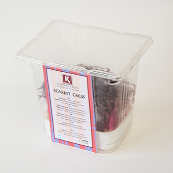 KOPPERT SCARLETT KRESSE SCHALE Koppert Scarlett Kresse Schale 