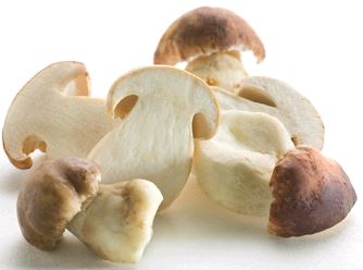 STEINPILZE GESCHNITTEN KG Steinpilze geschnitten