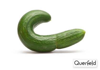"QUERFELD" BIO GURKEN 8 KG KISTE (DE-ÖKO-006) "Querfeld" Bio Gurken 8 kg Kiste