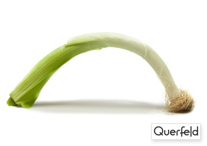 "QUERFELD" BIO LAUCH 5 KG (DE-ÖKO-006) "Querfeld" Bio Lauch 5kg (DE-ÖKO-006)