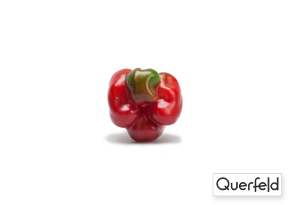 "QUERFELD" BIO PAPRIKA ROT 5 KG KISTE (DE-ÖKO-006) "Querfeld" Bio Paprika Rot 5 kg 