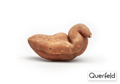 "QUERFELD" BIO SÜßKARTOFFELN 6 KG (DE-ÖKO-006) Querfeld Bio Süßkartoffeln 6 kg (DE-ÖKO-006)