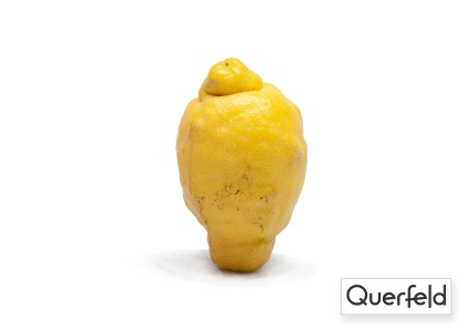 "QUERFELD" BIO ZITRONEN 6 KG KISTE (DE-ÖKO-006) Querfeld Bio Zitronen 6 kg (DE-ÖKO-006)