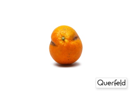 "QUERFELD" BIO ORANGEN KG (DE-ÖKO-006) Querfeld Bio Orangen 10 kg (DE-ÖKO-006)