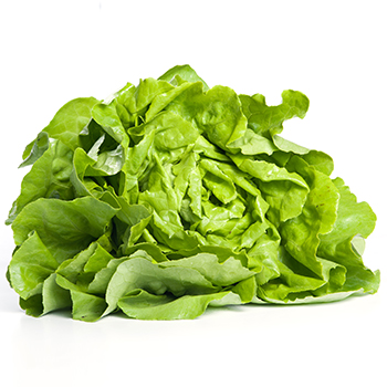 KOPFSALAT Kopfsalat Stück