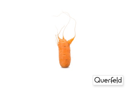 "QUERFELD" BIO MÖHRE 10KG KISTE (DE-ÖKO-006) Querfeld Bio Möhre 10 kg (DE-ÖKO-006)