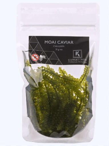 KOPPERT MOAI CAVIAR 35GR DOSE Koppert Moai Caviar 35 gr Dose