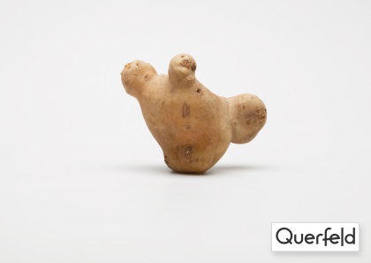 "QUERFELD" KARTOFFELN ANNABELLE KG (DE-ÖKO-006) Querfeld Kartoffeln Anabelle kg (DE-ÖKO-006)