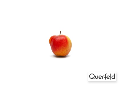 "QUERFELD" APFEL ELSTAR KG (DE-ÖKO-006) "Querfeld" Apfel Elstar kg