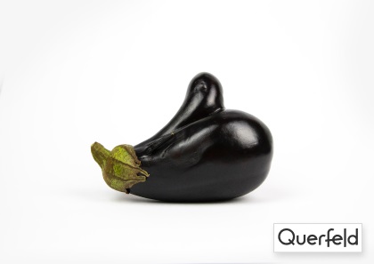 "Querfeld" Bio Aubergine 3kg