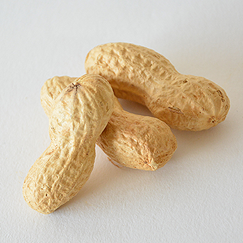 Jumbo Erdnüsse 300g Beutel