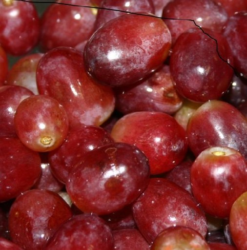 TRAUBEN DUNKEL GEZUPFT (72) 1KG Trauben Dunkel gezupft 1kg