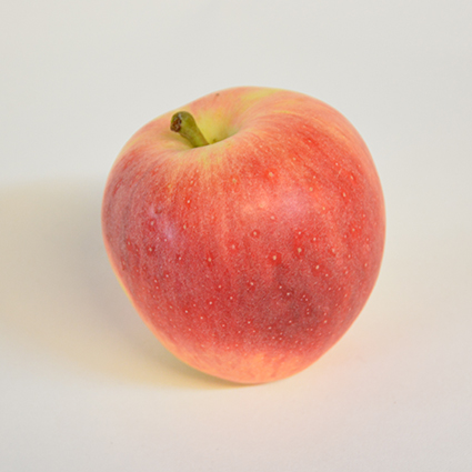 GALA APFEL GELEGT 70/75MM Apfel Gala gelegt 70-75mm 
