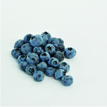 HEIDELBEEREN 125g SCHALE Heidelbeeren Schale