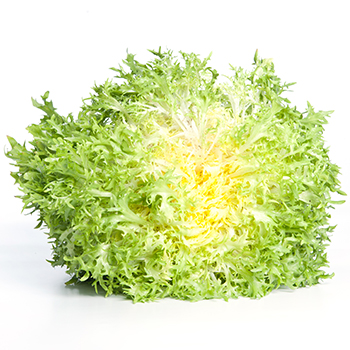 FRISEE SALAT FEIN Frisee fein Stück