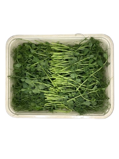 MICROGREENS ERBSEN 100 GRAMM MicroGreens Erbsen 100g