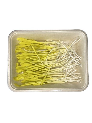 MICROGREENS MAIS 50 GRAMM MicroGreens Mais 50g
