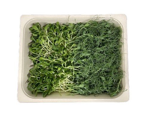 MICROGREENS MIX SONNENBLUMEN/ERBSEN 200 MicroGreen Mix Sonnenblumen/Erbsen 200g