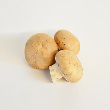 MINI BRAUNE CHAMPIGNONS MINI KG Mini Braune Champignons Mini kg