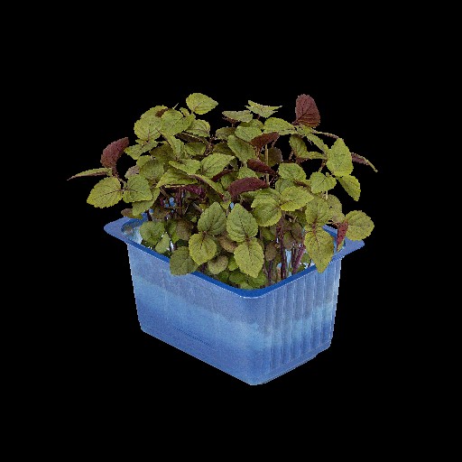 Koppert Shiso Kresse Bicolor