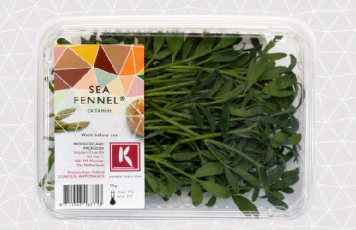KOPPERT SEA FENNEL 50er SCHALE Koppert Seafennel 