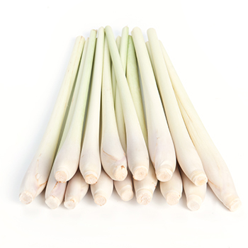 ZITRONENGRAS 250 G BUND Zitronengras 250g Bund