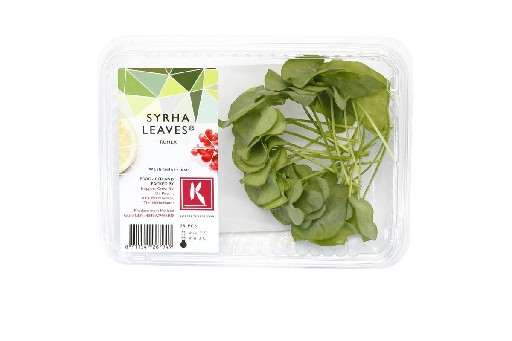 KOPPERT SYRHA LEAVES SCHALE Koppert Syrha Leaves Schale