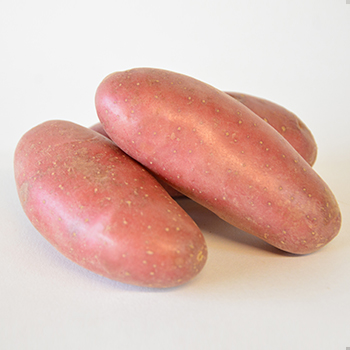 ROSEVALLEKARTOFFELN KG Kartoffeln Rosevalle kg